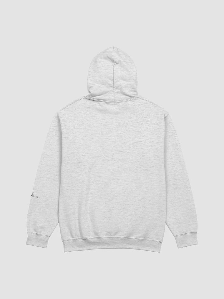 Conspiracy Leads To Spirituality - Gildan Classic Hoodie product image (2)
