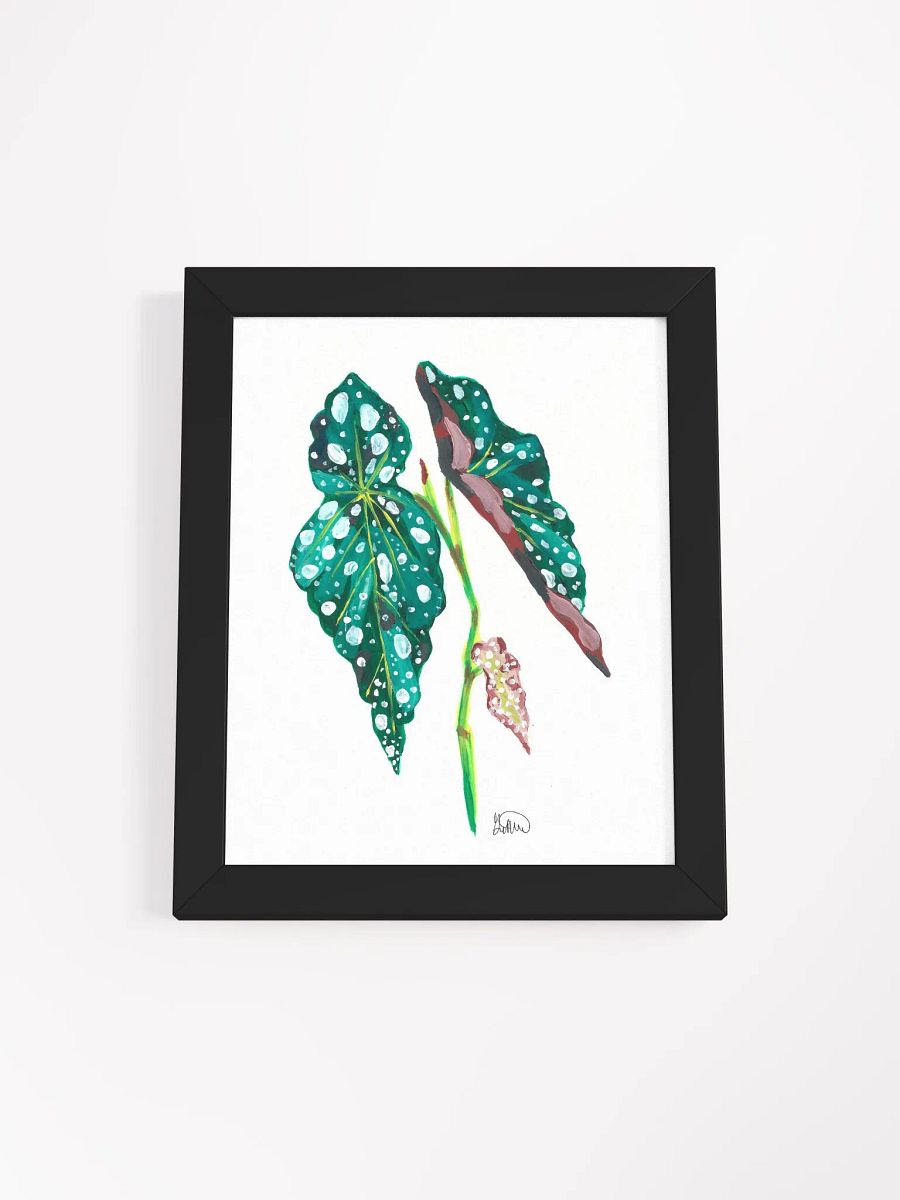 Begonia Frame product image (7)