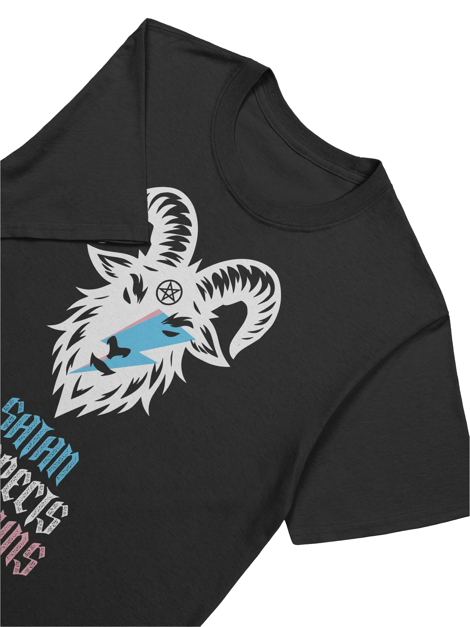 Satan Respects Pronouns Tee product image (7)