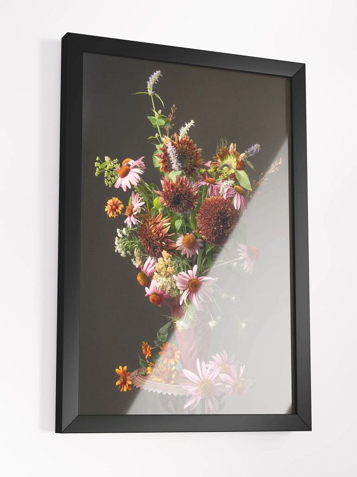 Echinacea Summer II product image (2)