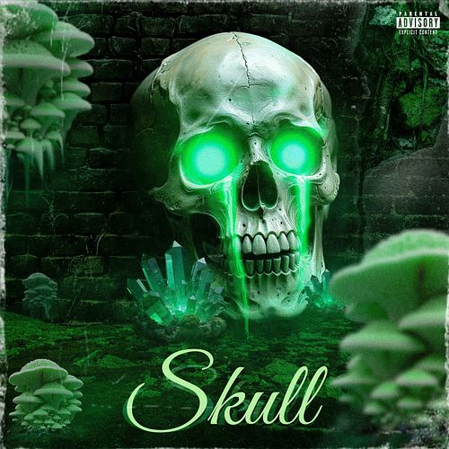 💀 Skull Vibes Unleashed! 💀
Dark, eerie, and powerful — this glowing skull design brings a whole new meaning to mystic energy....