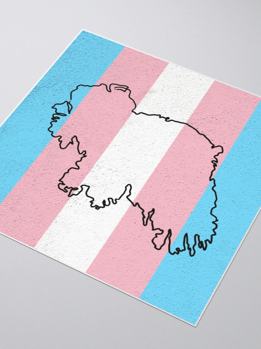 Ireland - United Against Terfs product image (8)