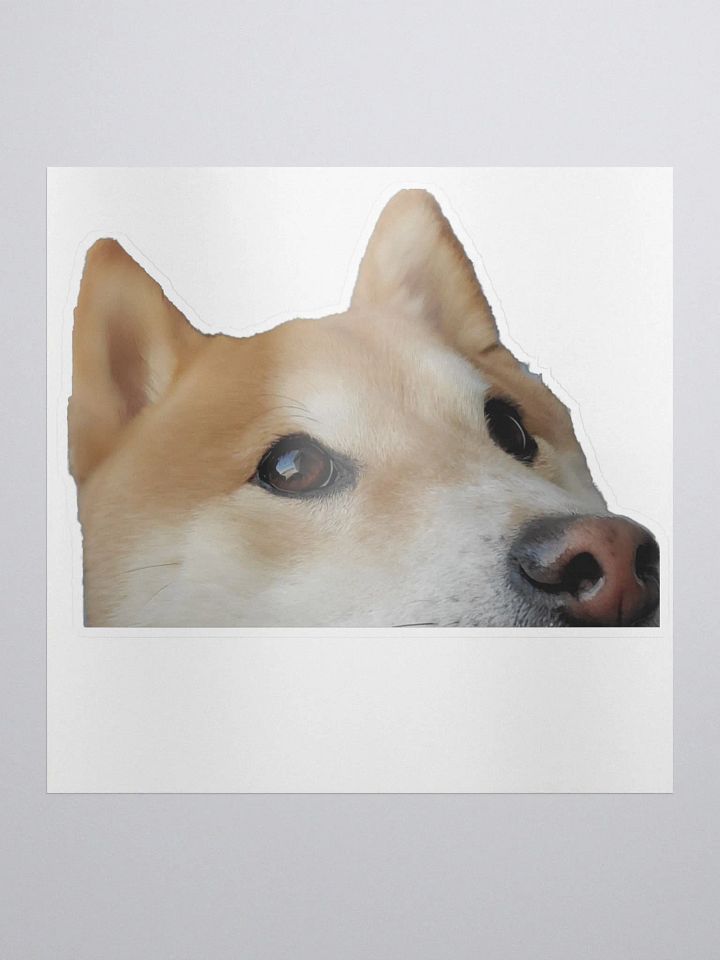 Dandelion Peek (Sticker) product image (1)