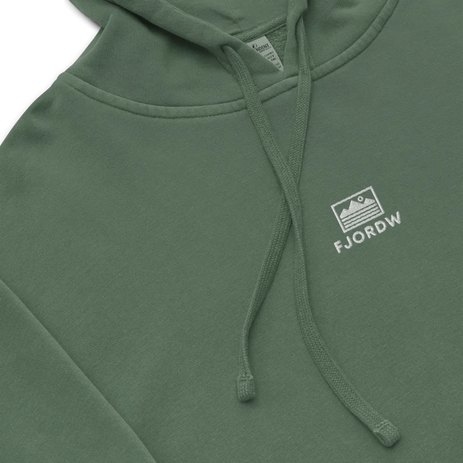 Pigment Hoodie product image (4)