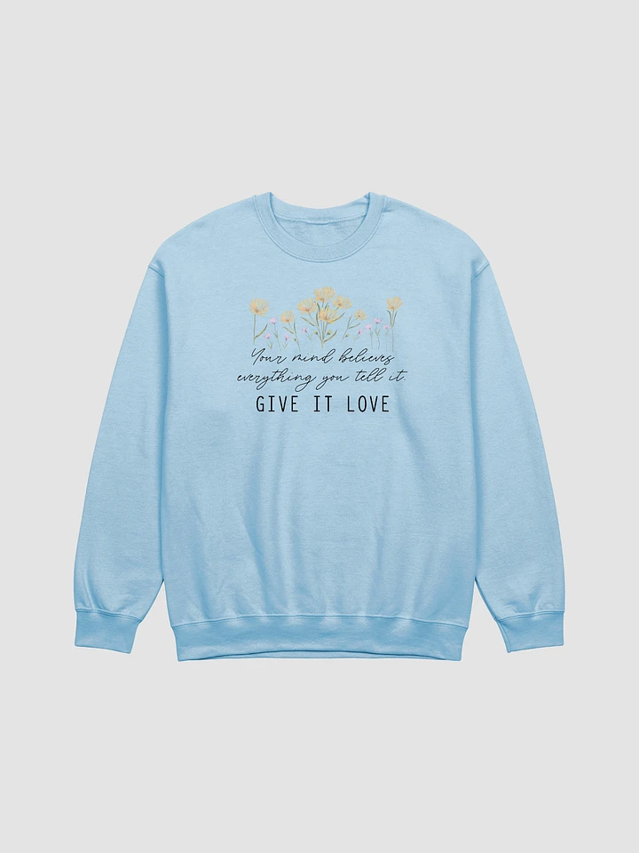 Crewneck Sweatshirt - 