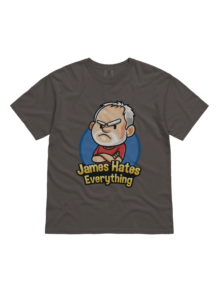 James Hates Everything T-Shirt (gray) product image (1)
