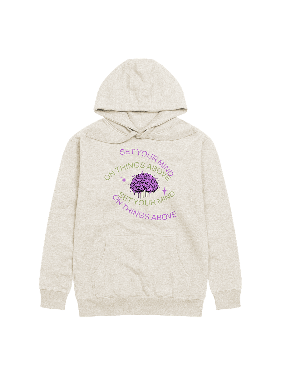 Set Your Mind on Things Above Unisex Hoodie product image (17)
