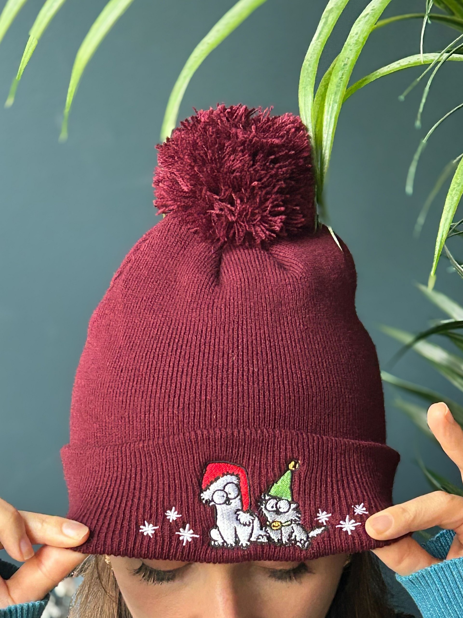 Festive Beanie product image (2)