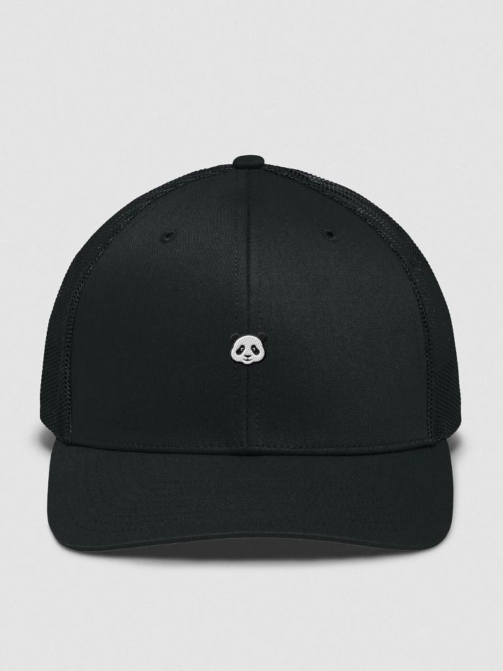 Panda Patch Snapback product image (2)