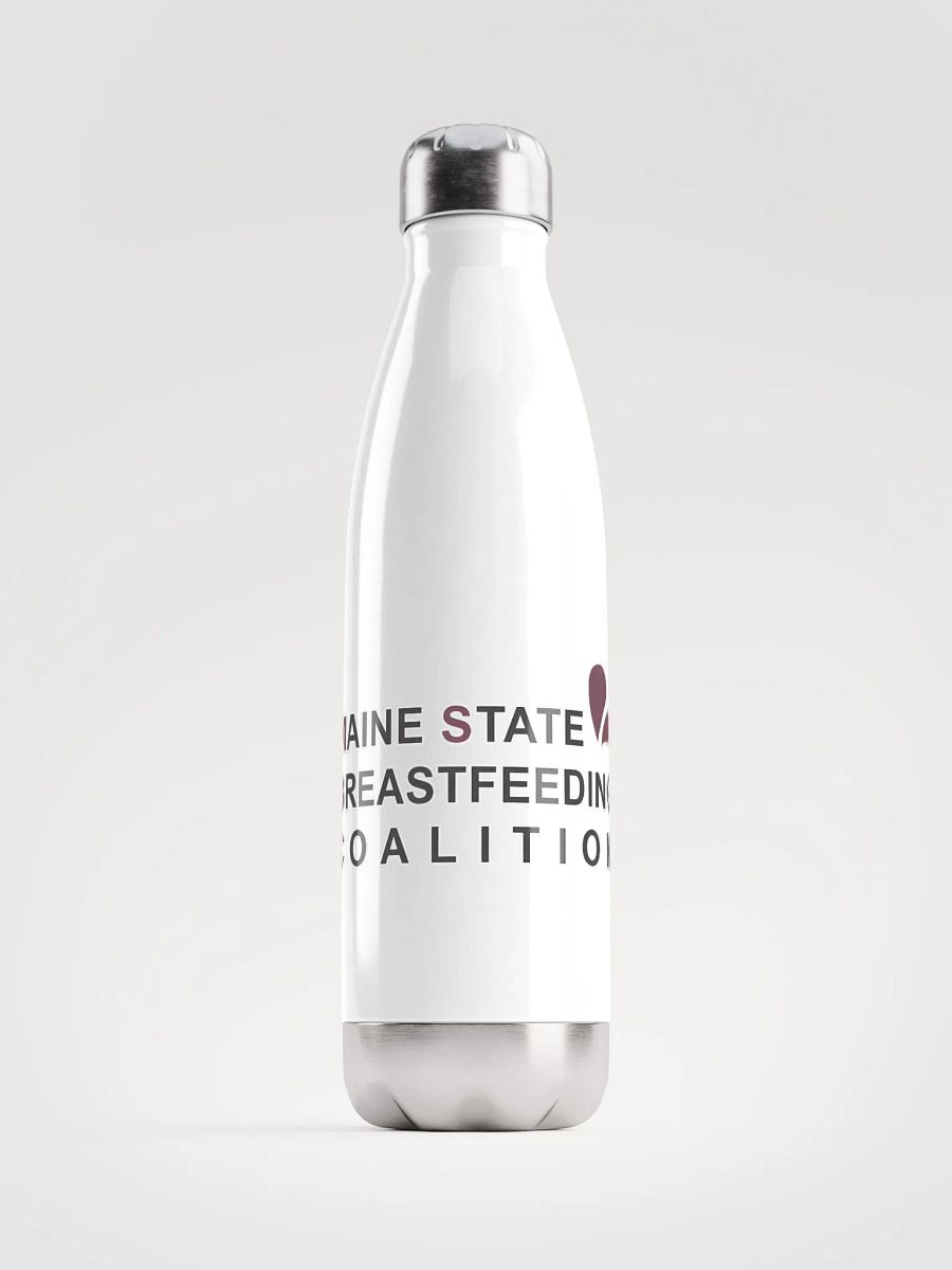 MSBC Logo Stainless Steel Water Bottle product image (1)