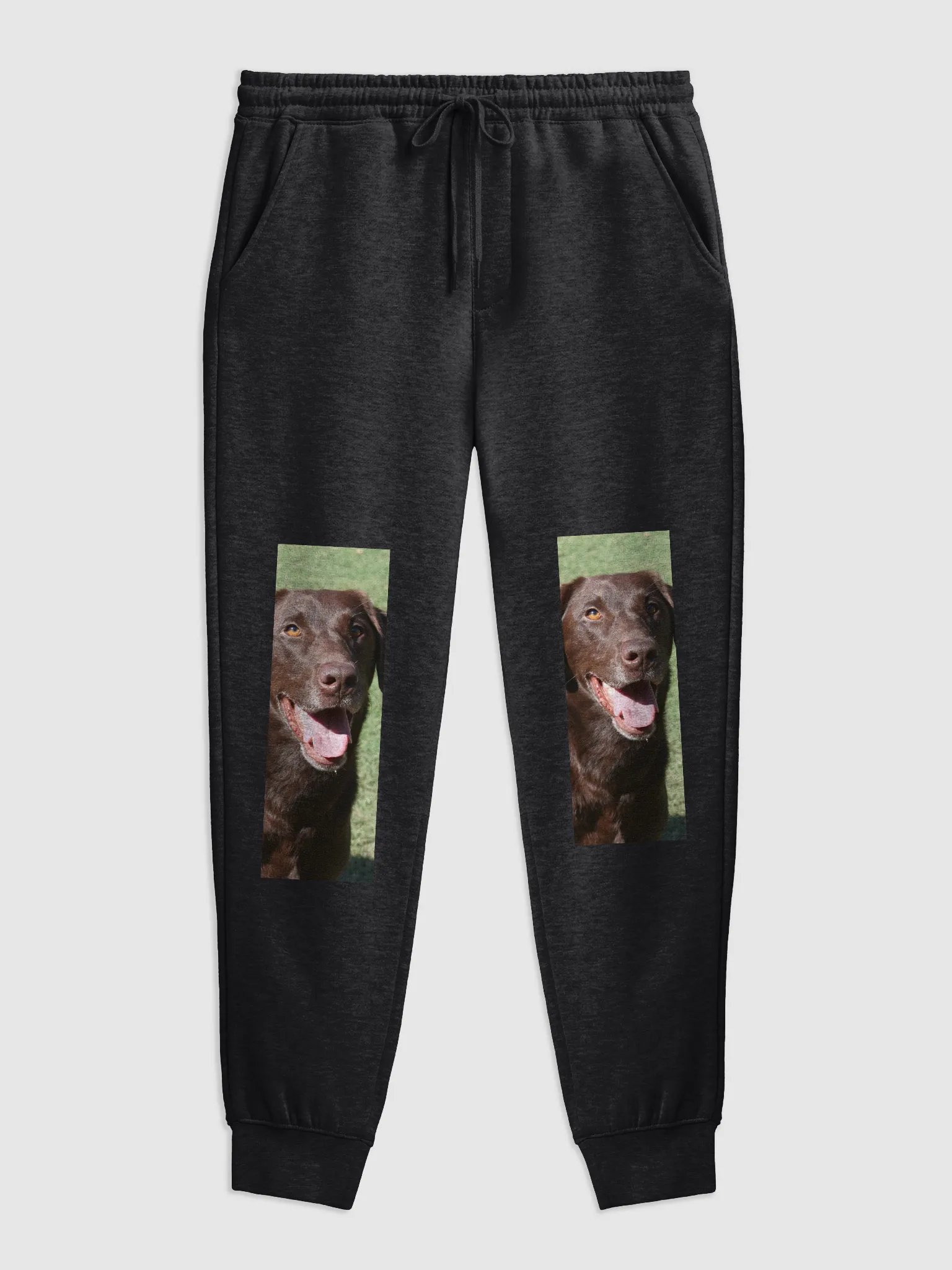 winter dog product image (1)