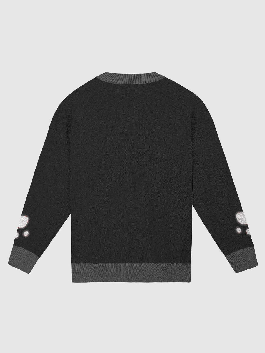 Skelly Sweater product image (3)