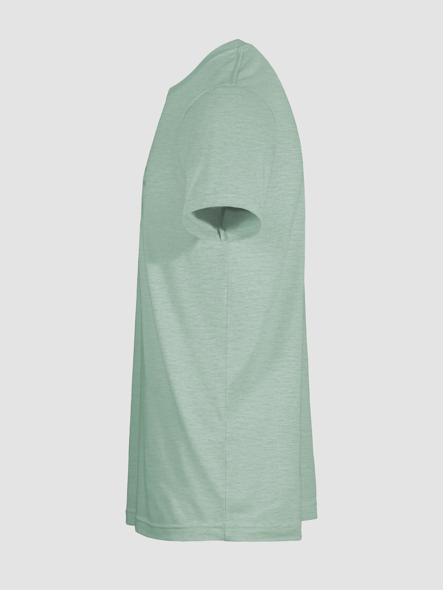 Healthy Wealthy Vegetarian & Vegan T-Shirt product image (11)