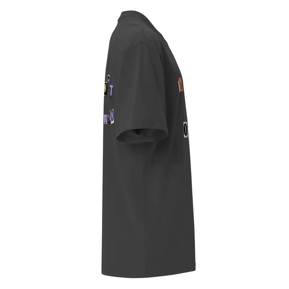 Wouldn't Recommend Oversized T-Shirt product image (4)