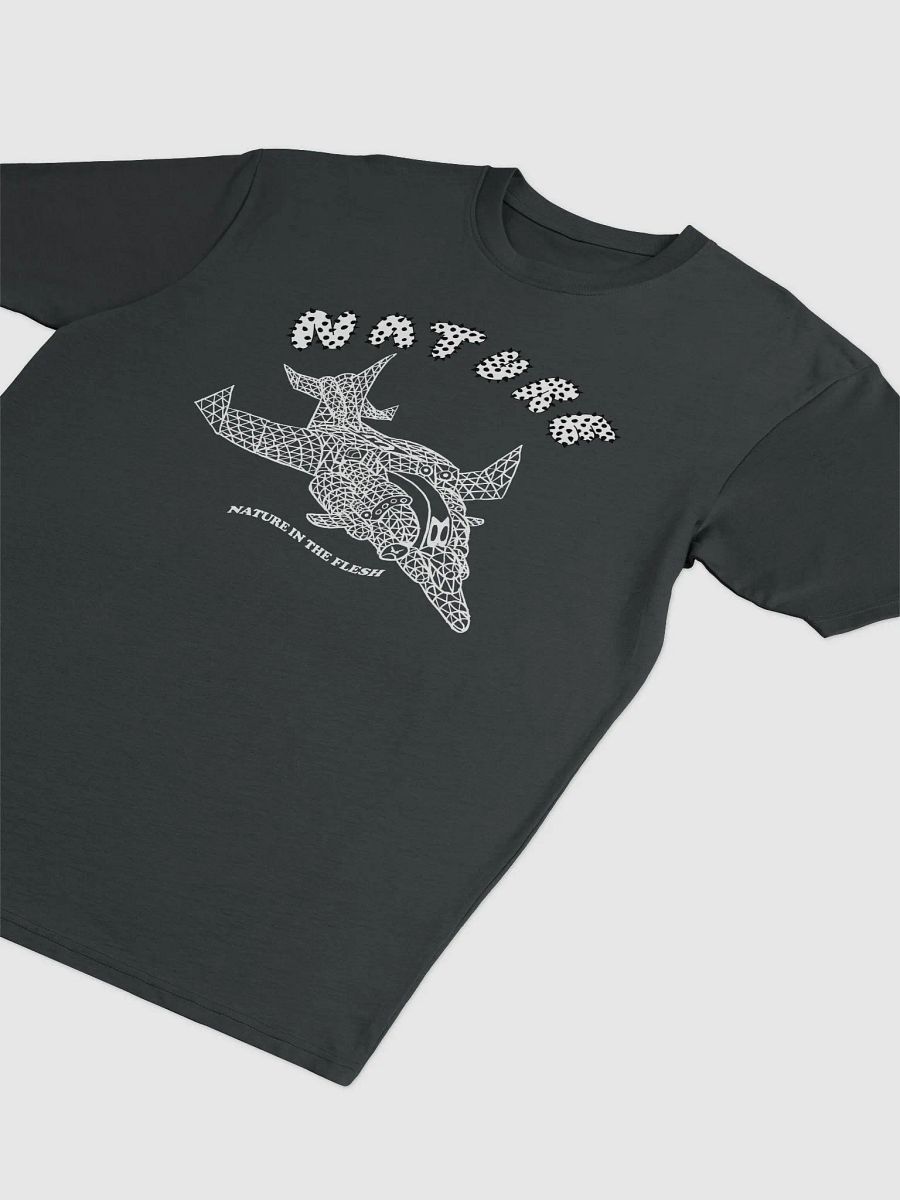 Ascension Ship Tee product image (3)