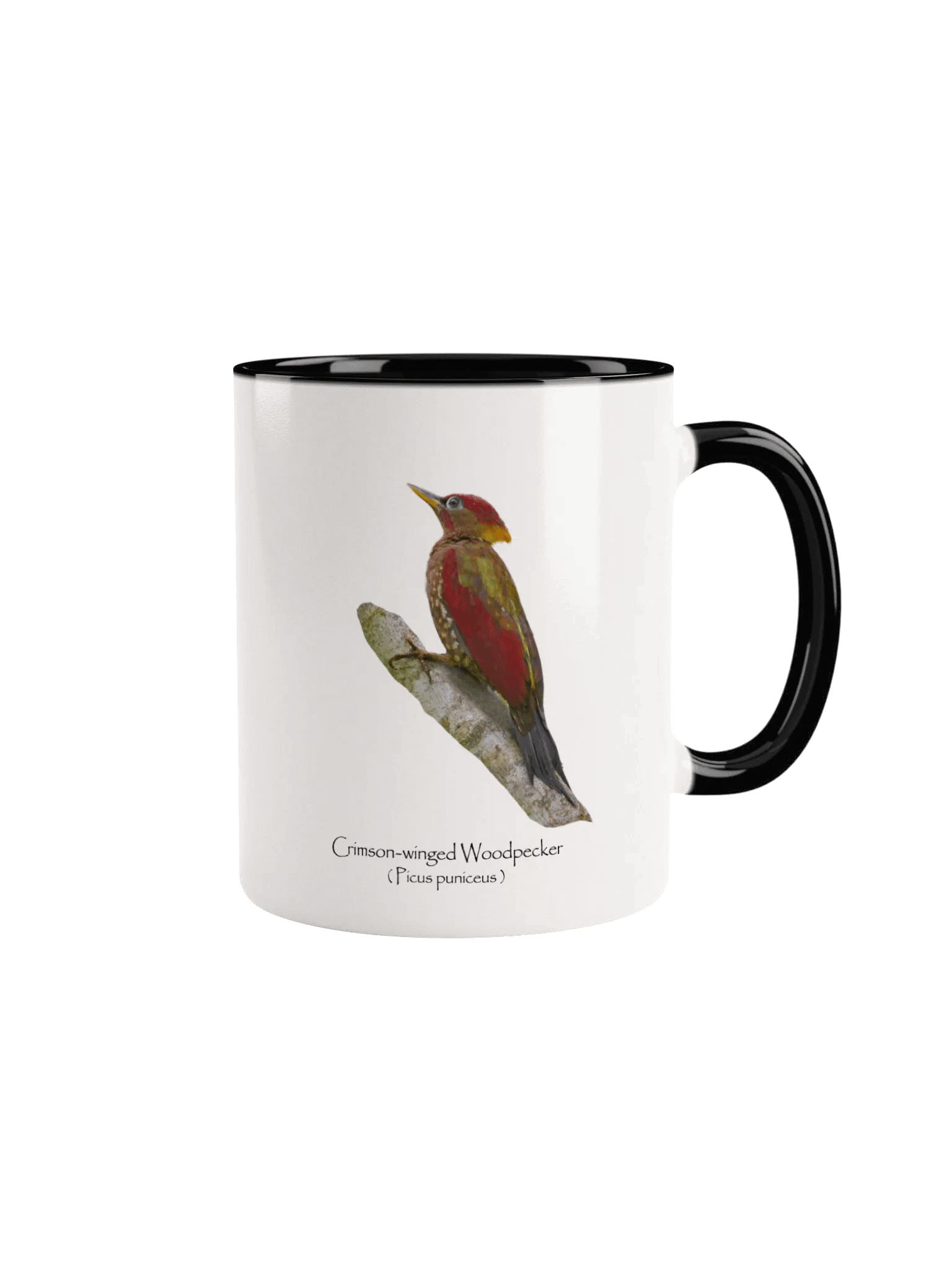 Crimson-winged Woodpecker mug product image (1)