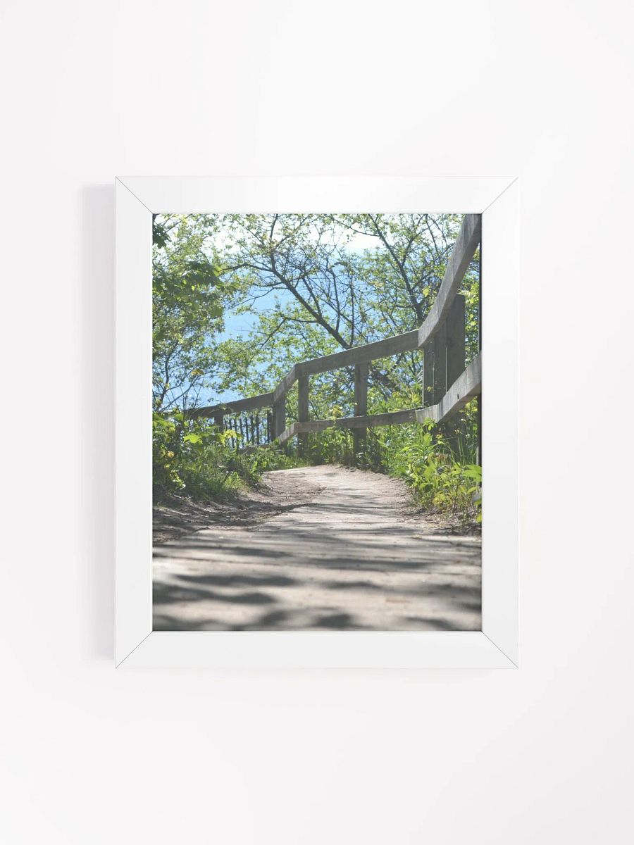Wooden Nature Trail High Quality Matte Poster product image (4)