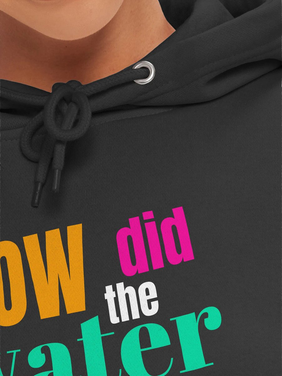 How Did the Water Get into the Coconut?" Lane Seven Premium Pullover a Funny Quote Hoodie product image (8)
