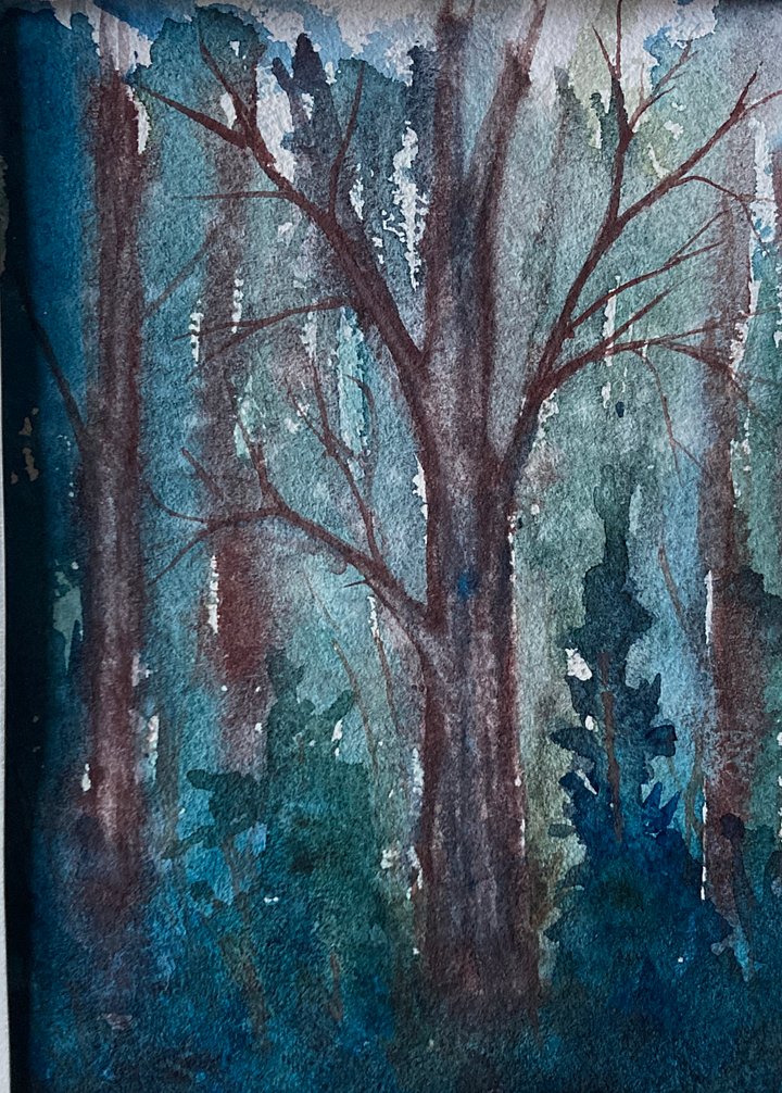 Original watercolor painting: White Pine Trail at Dusk product image (1)