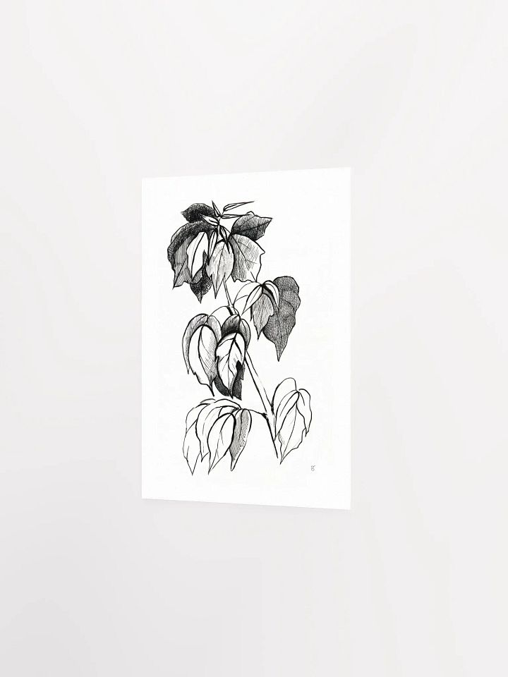 Botanical Bliss Matte Poster - Stylish Graphical Twig product image (2)