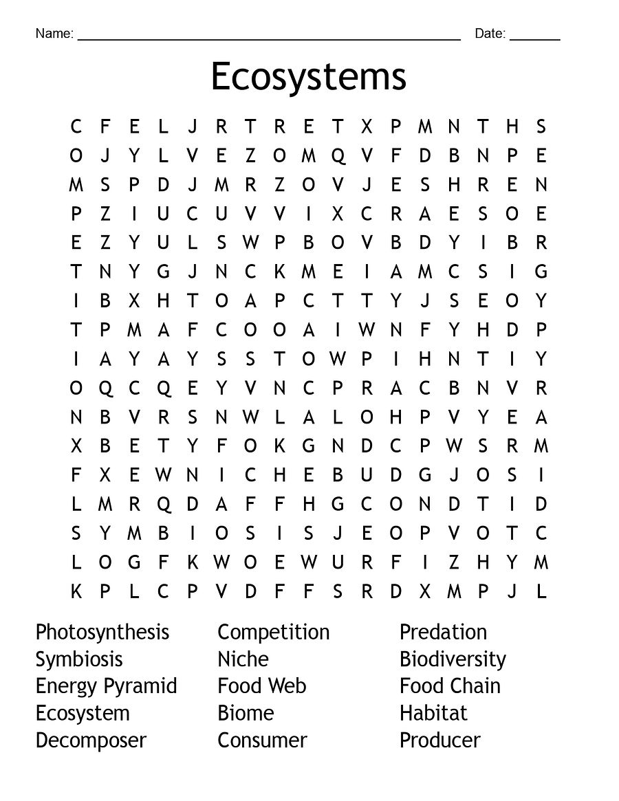 Ecosystems Word Search - Science Vocabulary Activity product image (3)