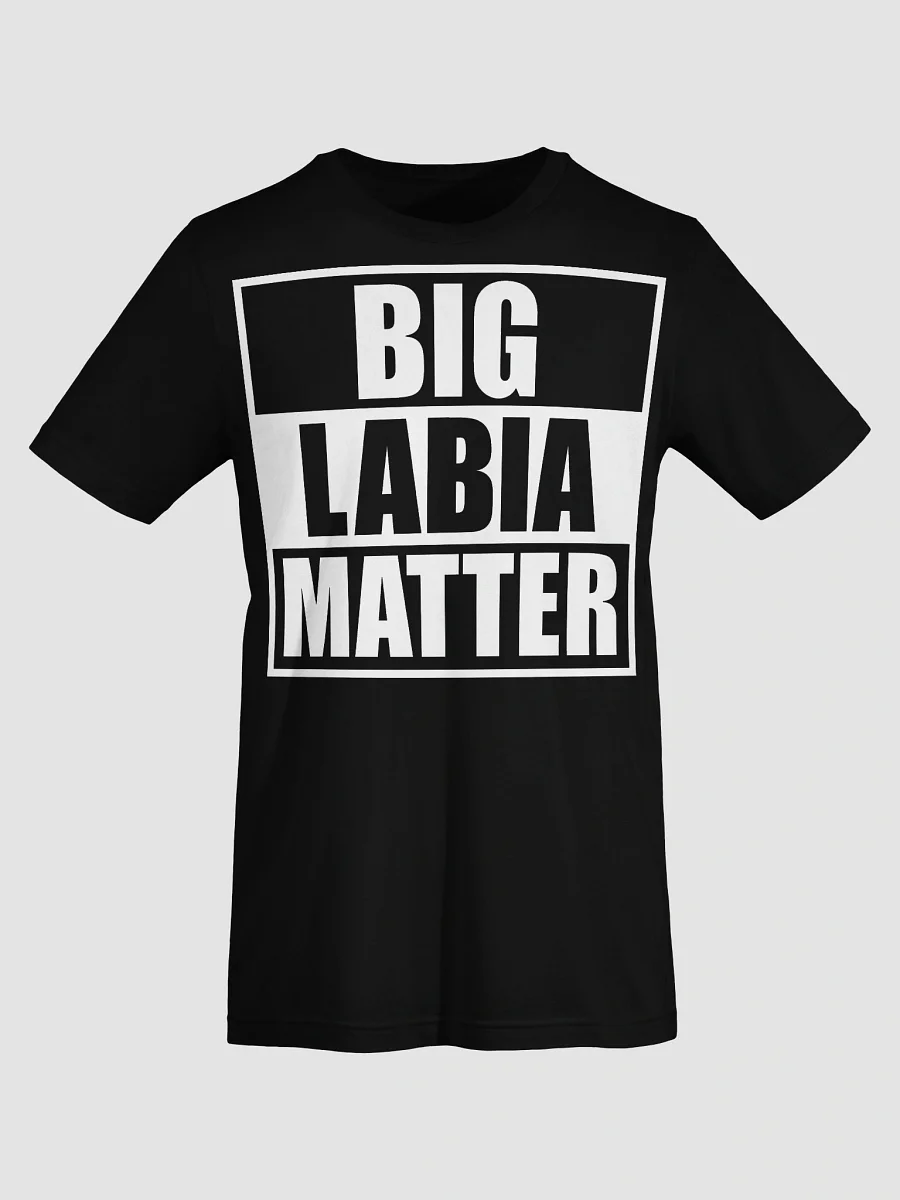 BIG LABIA MATTER T-SHIRT product image (5)