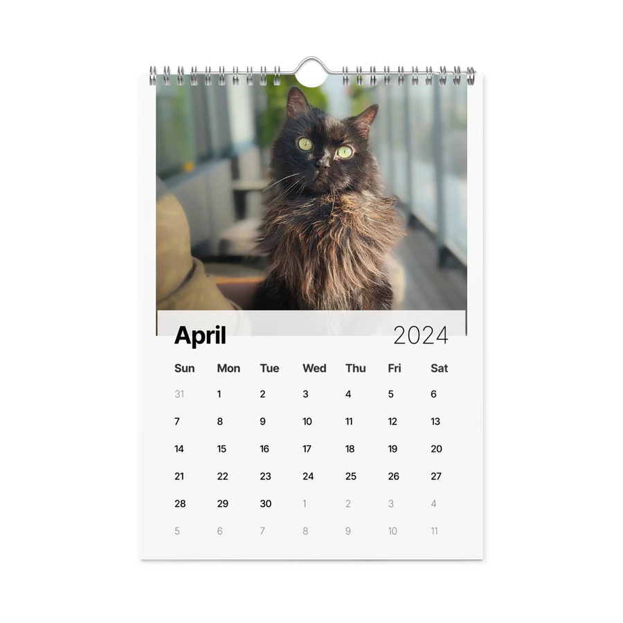 The 2024 ShoKo Cat Calendar product image (1)