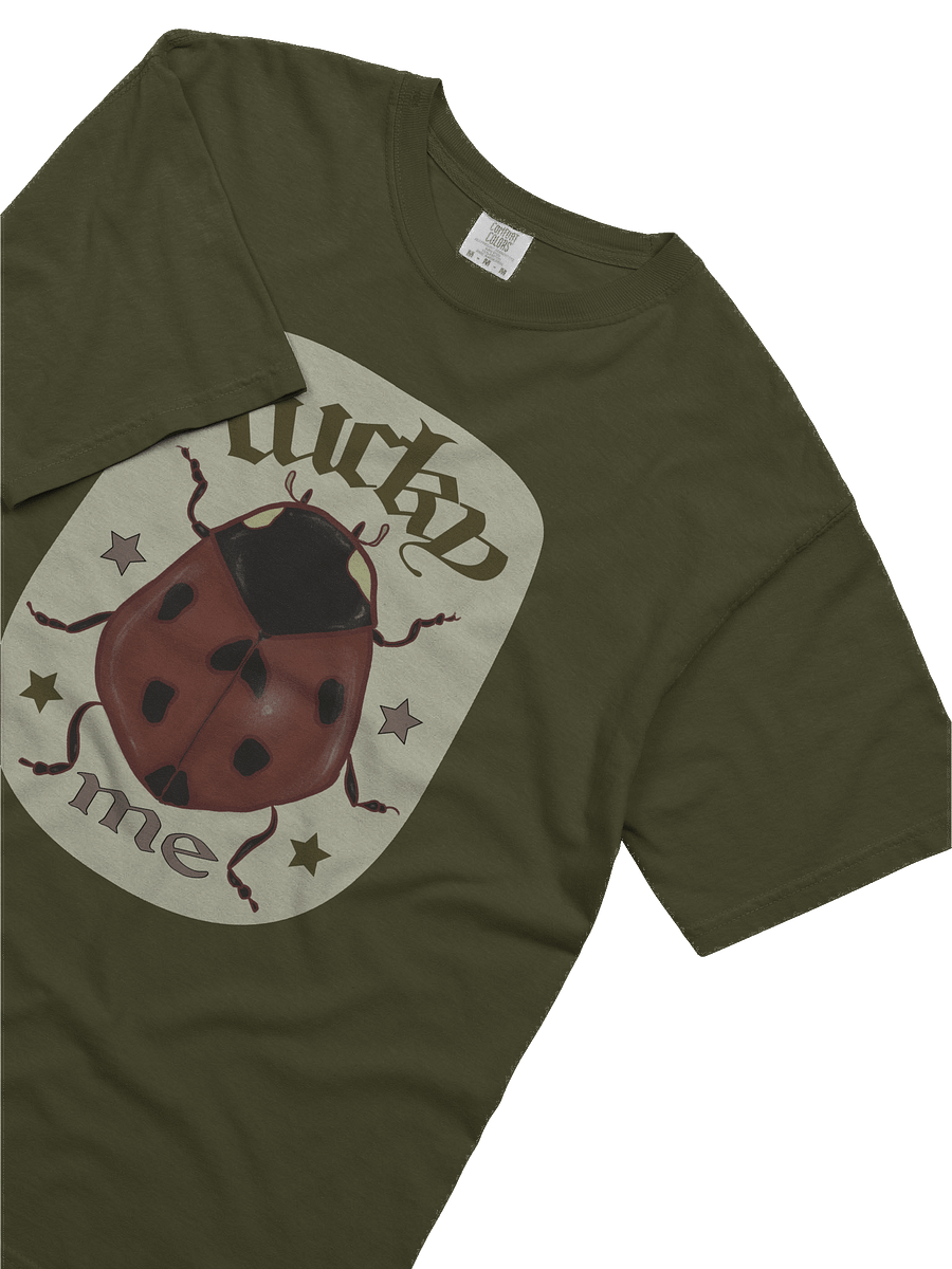 Lucky Me Ladybug product image (5)
