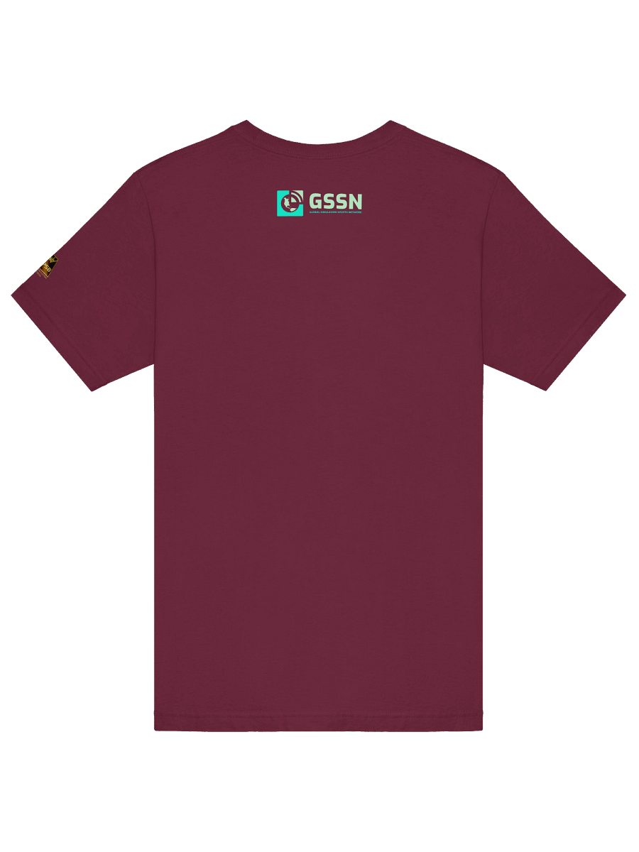 Premier Simulation Basketball - PSB Cincinnati Majestic Logo T-Shirt product image (24)