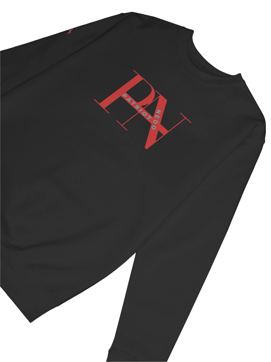 PN Patriotic Stylized Sweatshirt product image (18)