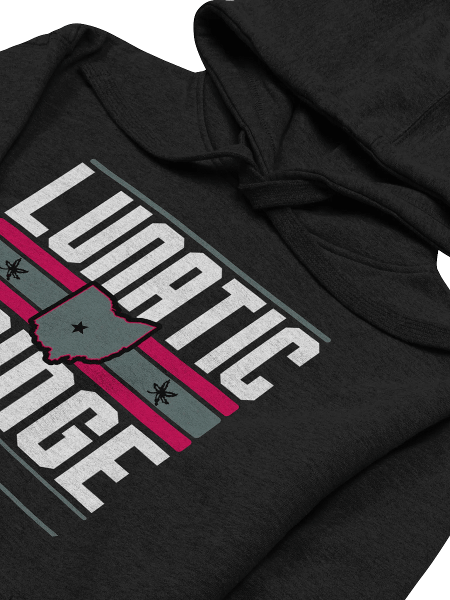 Lunatic Fringe Hoodie product image (4)