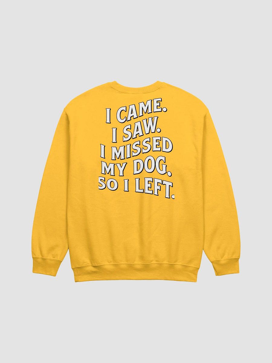 I Came, I Saw, I Missed My Dog, So I Left | Funny Introverted Sweatshirt for Dog Moms product image (14)