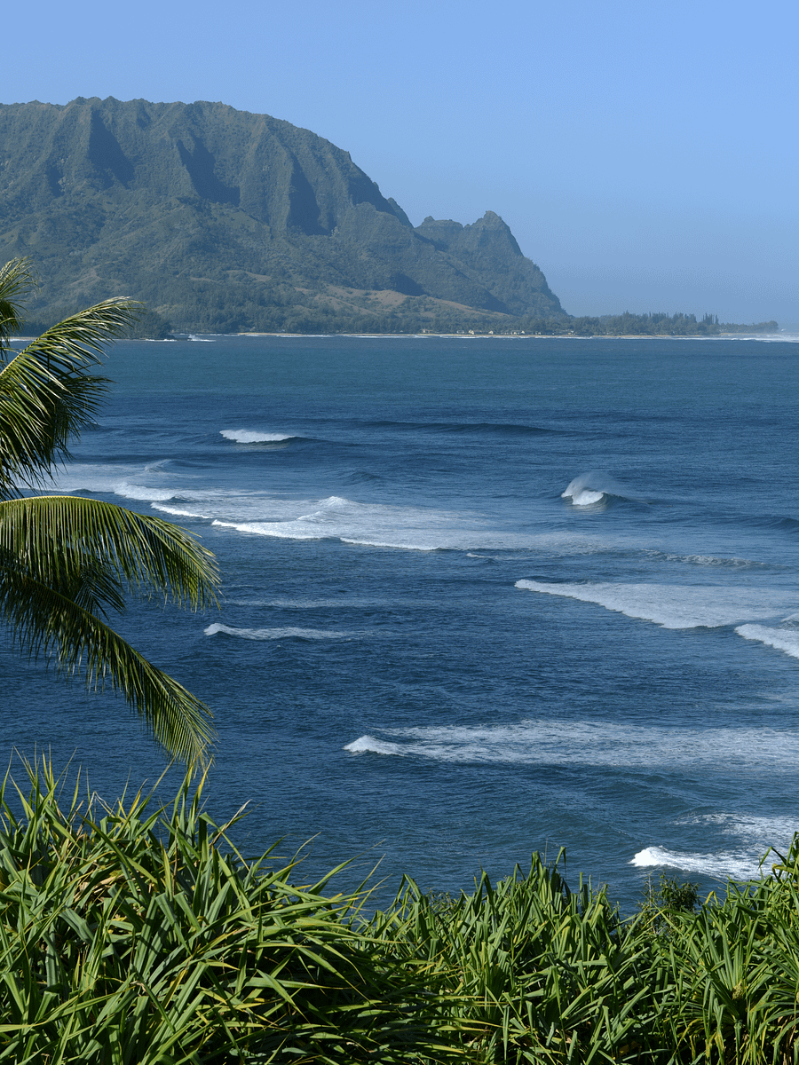 Hanalei Bay Kauai, Hawaii - Camouflage Trucker Hat product image (19)