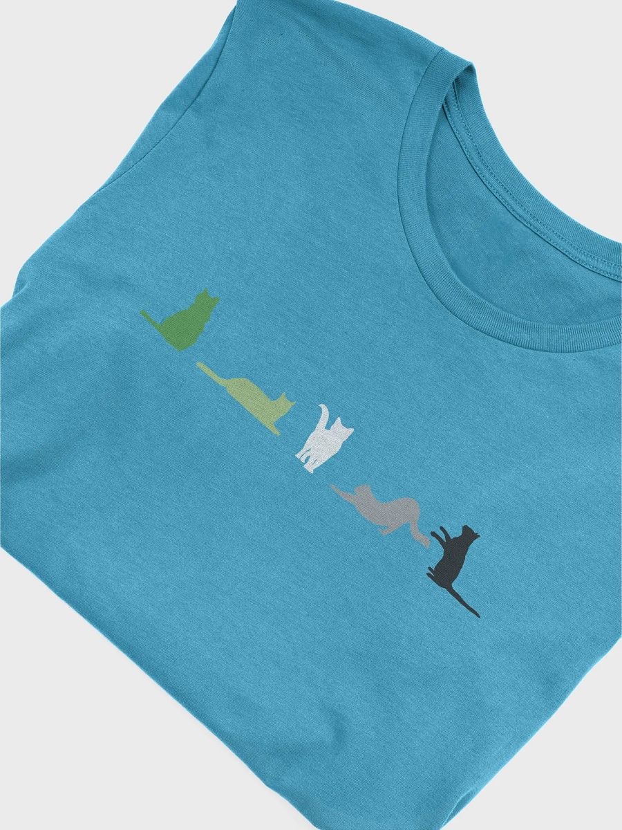 Aromantic Pride Cats Women's Shirt product image (51)