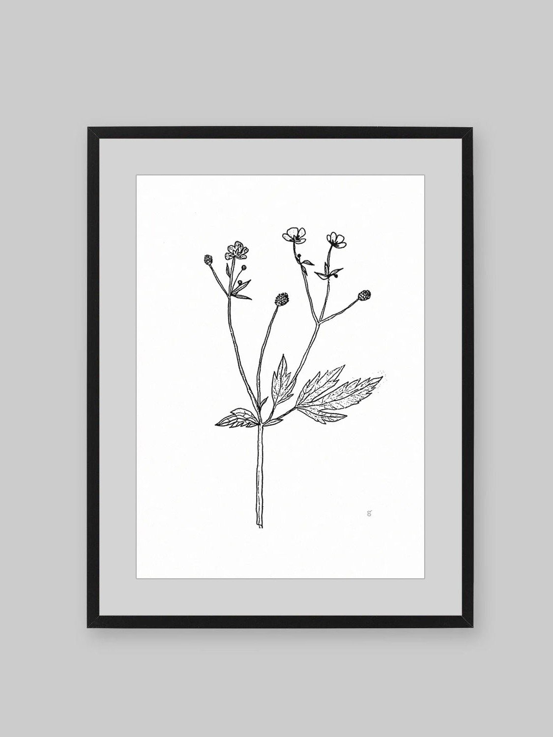 Botanical Beauty Poster - Wild Flowers product image (5)