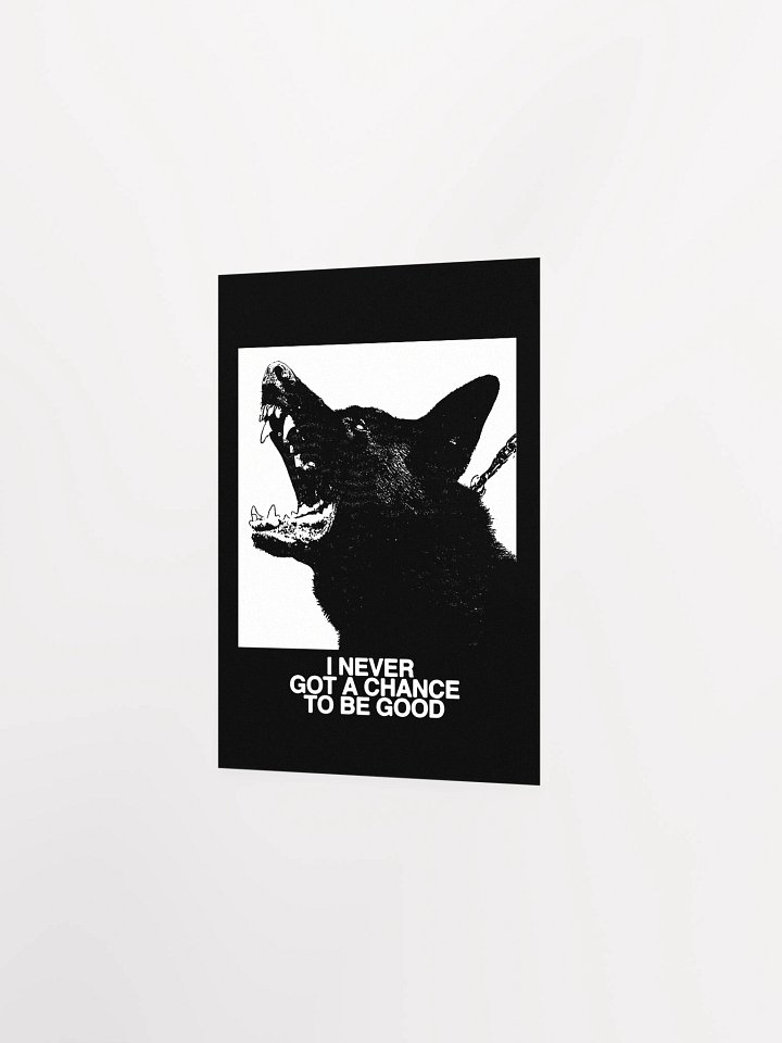 CHANCE - Poster product image (19)