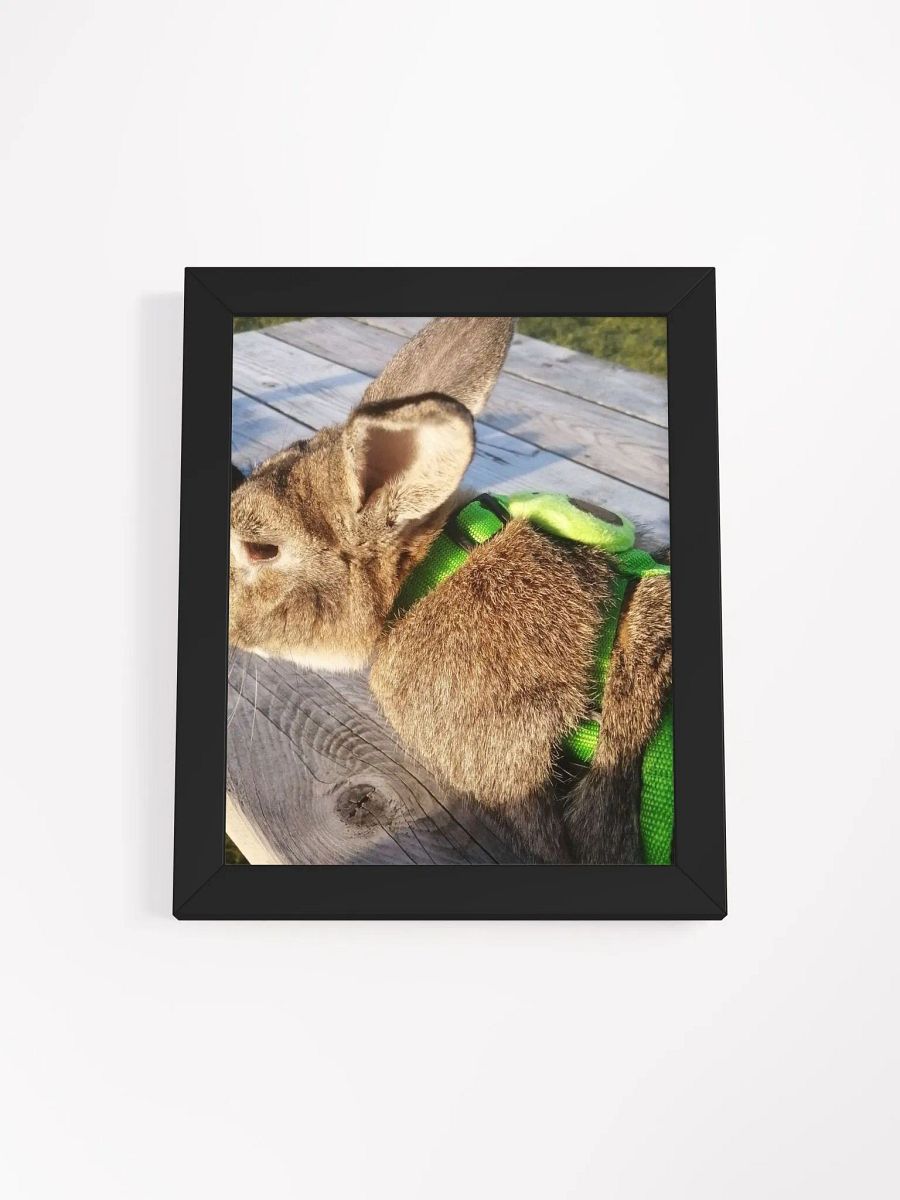Poster Of My Bunny product image (41)