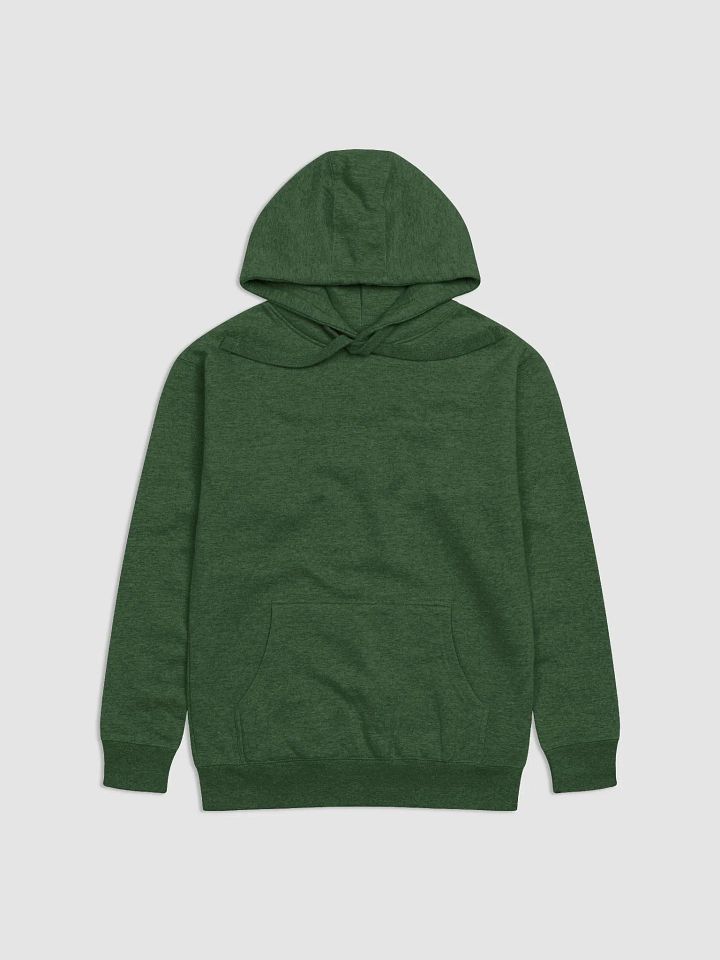 DTN Hoodie product image (2)