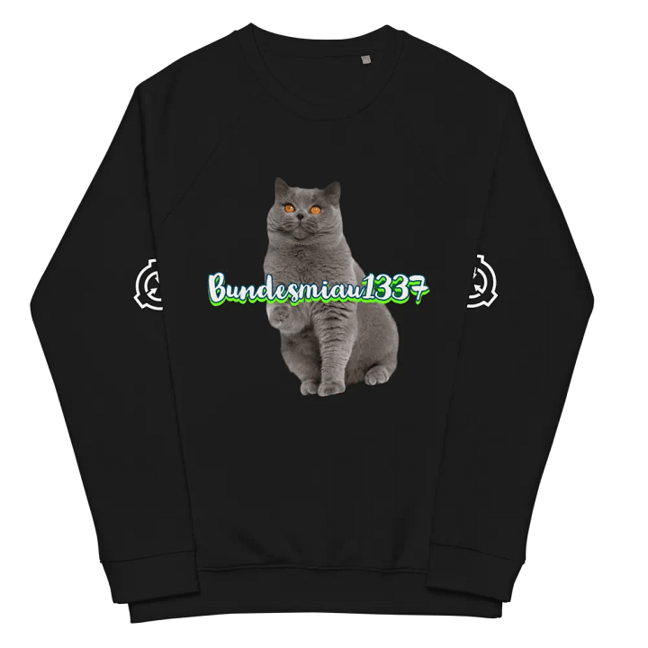 Fan Pulover product image (2)
