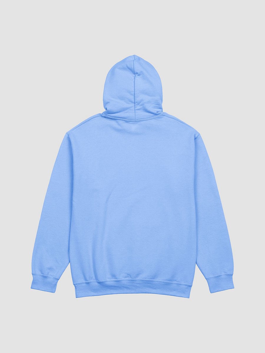 Just Me and My Books Hoodie product image (13)