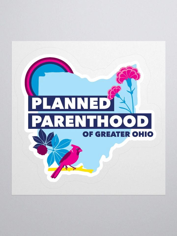 Ohio Outline Sticker product image (1)