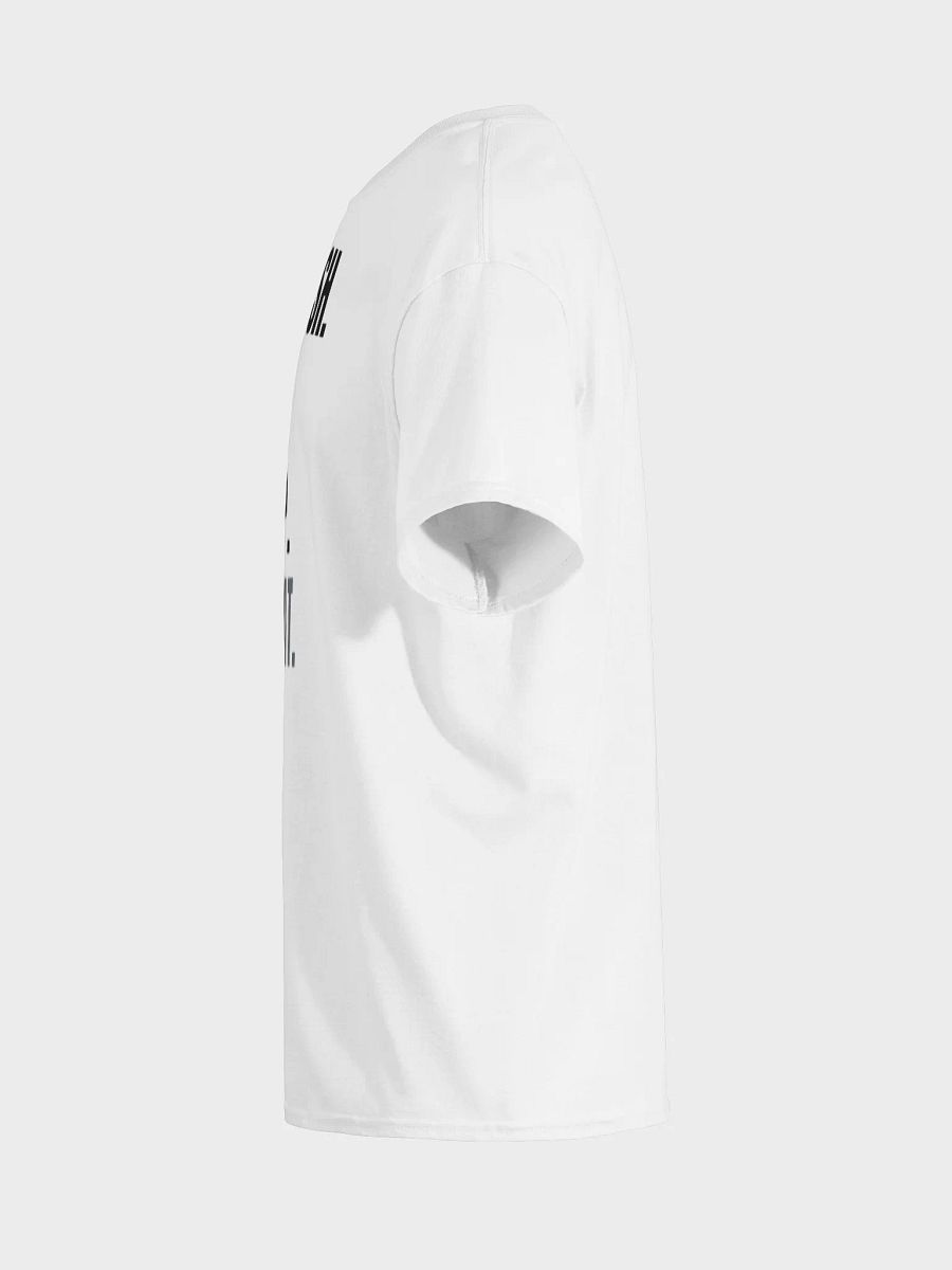 Singer Songwriter From Kazakhstan Gildan T-Shirt product image (4)