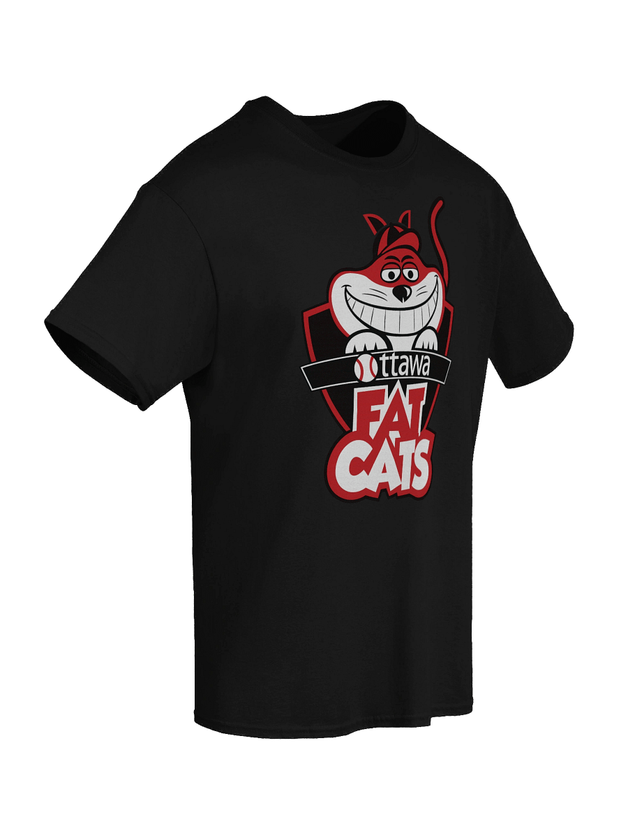 Ottawa Fat Cats - Unisex T-Shirt product image (58)