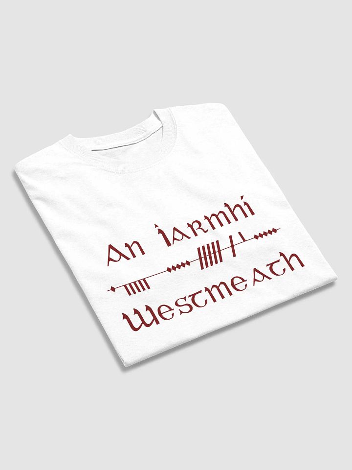 Westmeath/An Iarmhí Scholastic style Ogham white printed T-shirt product image (2)