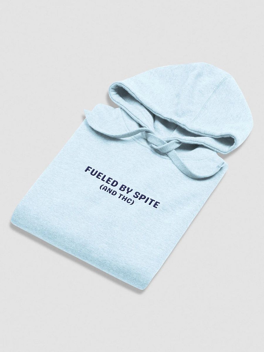 FUELED BY SPITE (navy thread) embroidered heavyweight hoodie product image (8)