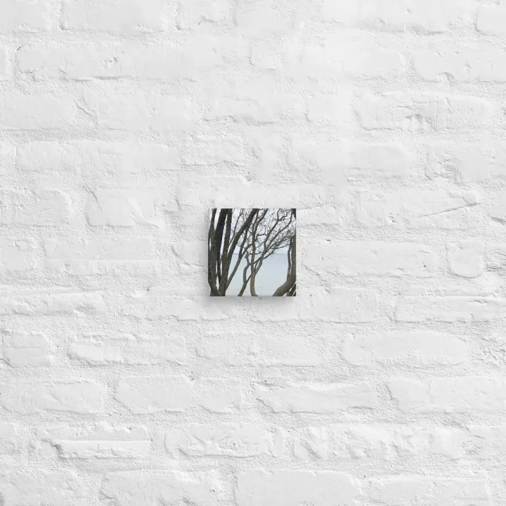 Winding Branches Canvas product image (2)