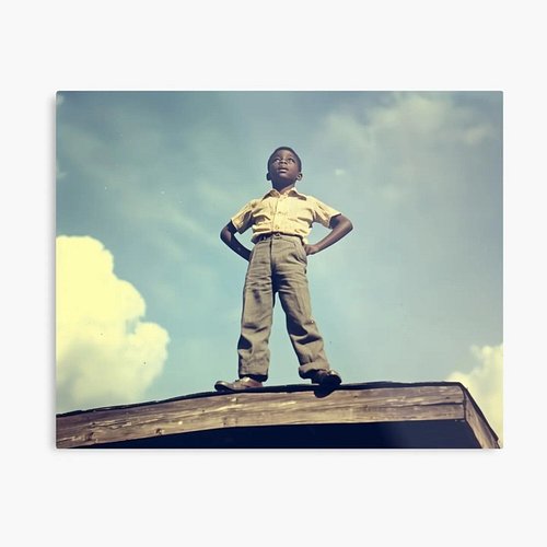 King of the world. I love this photo and I hope you do as well. Click the link in my profile to find this and so much more! 
...