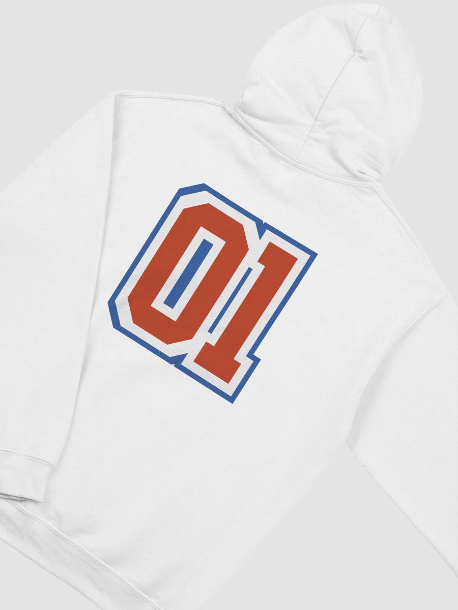 EST. 2001 HOODIE product image (3)