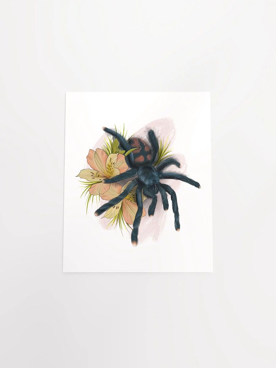 Avicularia avicularia product image (7)