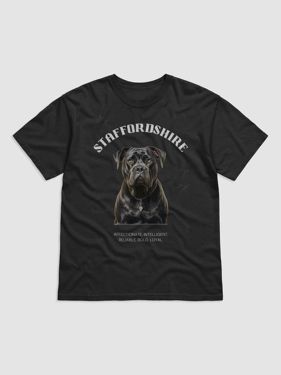 Dark Color Staffordshire Relaxed Fit T-shirt product image (2)